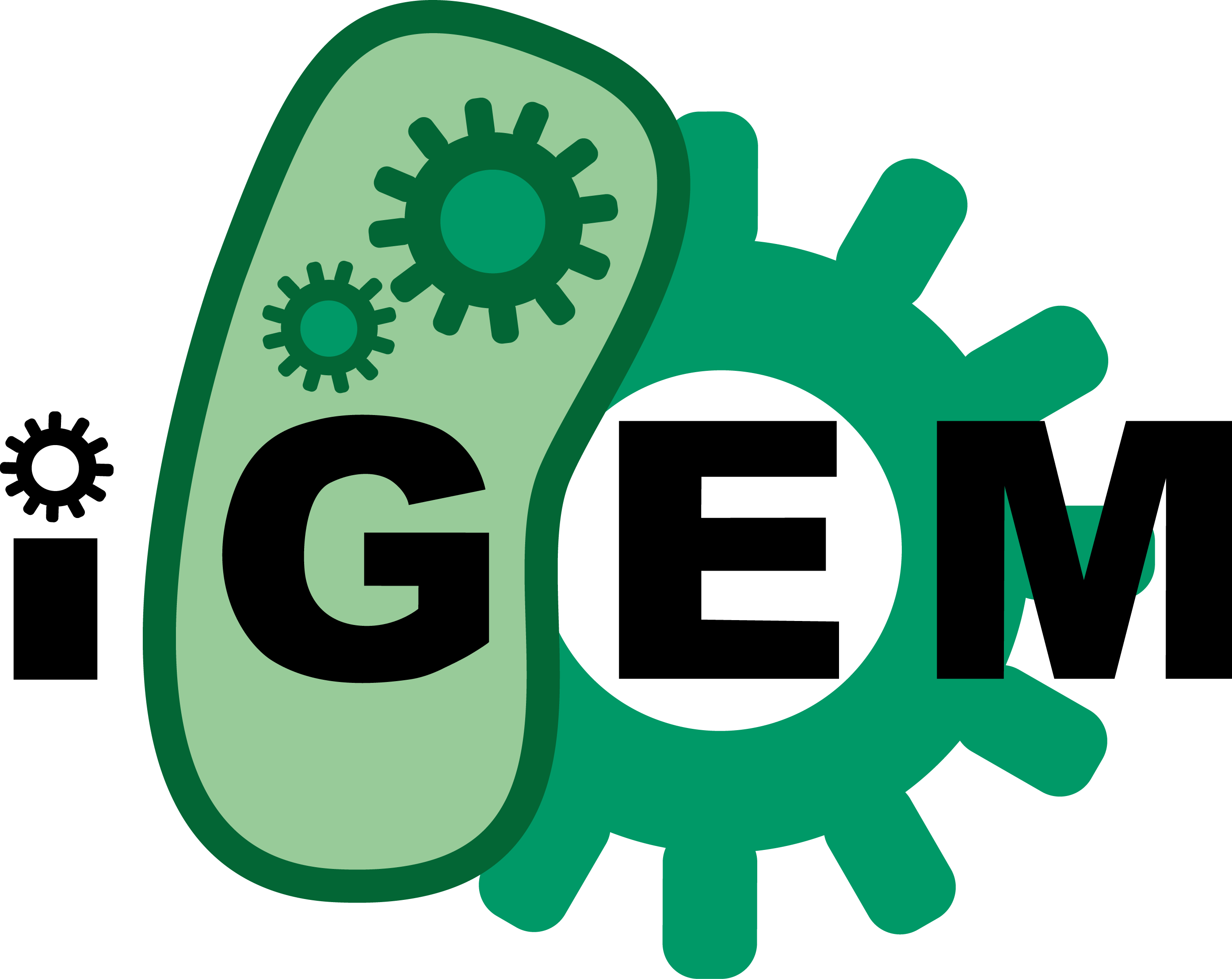 iGEM